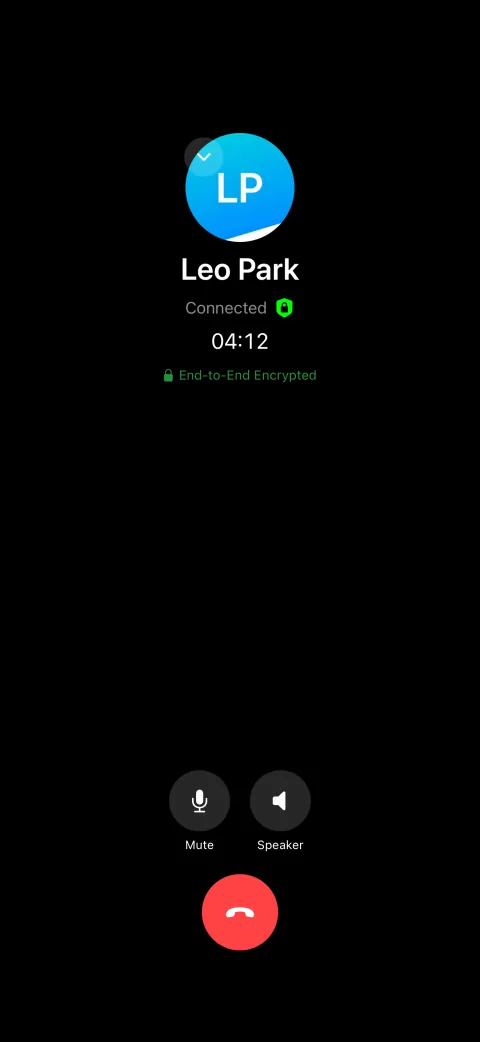 Voice call in progress